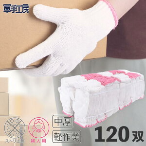 a pR N i zCg j 120o mdʁF12o500gn  wl fB[X R wlpR R ^ y sbLO  ^ K[fjO _ DIY | ^ @l R 