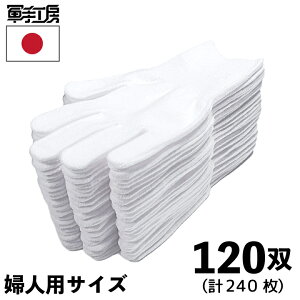 y ܂̉ zm 120og i 240 jn Ci[ ^ S rj[ v   s Ȉ ȉqm Ōt E Hi H t ^ r \h  Ag