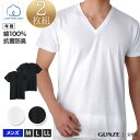 【楽天店限定2枚組】GUNZE(グンゼ)/綿100%/VネックTシャツ(メンズ)/RT75152/M〜LL/年間/USAコットン