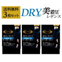 ネット限定 ライザップ 着圧レギンスサマータイプ 3足組 レディース 春夏 3P 美脚 加圧 着圧 脚細 カロリー消費 涼しい 夏用 ギフト M-L L-LL グンゼ RIZAP LEGL031 RZF202 フェムケア フェムテック