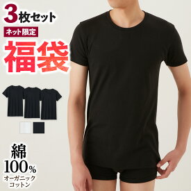 福袋 2024年 グンゼ 綿100％ クルーネックTシャツ 3枚セット メンズ 半袖 丸首 オーガニックコットン インナー 紳士 肌着 下着 洗濯タグ無し 低刺激 脇縫いなし 直営店限定 福袋 メンズインナー シャツ SETM9514 CK9514 S-LL the GUNZE