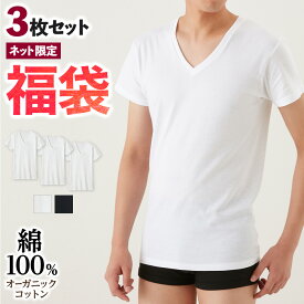 福袋 2024年 グンゼ 綿100％ VネックTシャツ 3枚セット メンズ 半袖 V首 オーガニックコットン インナー 肌着 洗濯タグ無し 低刺激 脇縫いなし 福袋 メンズインナー シャツ SETM9515 CK9515 S-LL the GUNZE