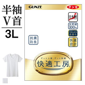 3L グンゼ 快適工房 半袖 V首 メンズ 綿100% 抗菌防臭 無地 フライス 大きいサイズ 男性用 Vネック メンズインナー シャツ 綿 60代 70代 80代 ギフト 贈り物 ロングセラー 下着 肌着 定番 GUNZE KQ5015