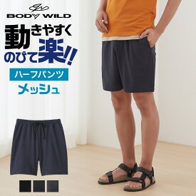 グンゼ ハーフ パンツ メンズ 春夏 ボディワイルド ライトテック ストレッチ イージーパンツ メッシュ ショートパンツ ポケット ウエストゴム 紳士 楽 伸びる 涼しい 半ズボン 短パン BODY WILD BDT172 M～L