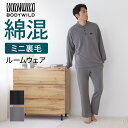 【SALE】グンゼ BODYWILD ルームウェア メンズ 綿混 ドロップショルダー セットアップ スムース ヘンリーネック 肌触…