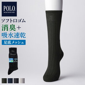 POLO BCS ソックス 靴下 メンズ ポロ ビーシーエス ビジネス ストライプ柄 綿混 消臭 ドライ 吸汗速乾 足底メッシュ つま先かかと補強 春 夏 男性 紳士 仕事 グンゼ GUNZE 25-27 PBV022