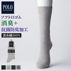 POLO BCS ソックス 靴下 メンズ ポロ ビーシーエス ビジカジ カジュアル ストライプ柄 綿混 消臭 抗菌防臭加工 つま先かかと補強 春 夏 秋 男性 紳士 グンゼ GUNZE 25-27 PBV042