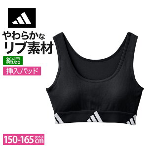 AfB_X O[ n[tgbv LbY WjA u uW[ X|[cu   Ci[ adidas _X  ̈ w w XN[ |Cg   F GUNZE APE530EC 150 16