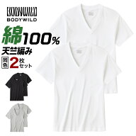 ≪綿100%で気持ちいい、型くずれしにくいVネックTシャツ≫ グンゼ Tシャツ V首 2枚組 2枚セット パックT …
