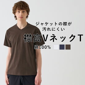 グンゼ ボディワイルド Tシャツ コットンUSA 丸首 メンズ ユニセックス 年間 抗菌防臭 ジャケット対応 襟高 半袖 シャツ汚れ コーディネート ビジカジ クルーネック 綿100% サスティナブル 男女兼用 おしゃれ 男性 女性 BODY WILD GUNZE BW5913Z