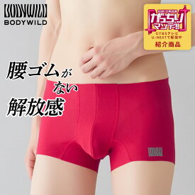 【タイムセール】≪TBS系「がっちりマンデー!!」紹介商品≫ グンゼ ボディワイルド エアーズ ボクサーパンツ 腰ゴムなし ウエストゴムなし メンズ 前閉じ 無地 下着 カットオフ 腰ゴム無し ウエストゴム無し パンツ ギフト BODYWILD AIRZ BWY900A BWY900D S M L LL