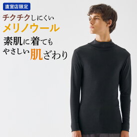 【SALE】グンゼ the GUNZE ハイネックロングスリーブシャツ メンズ 秋冬 メリノウール100% 保温 天然繊維 長袖 登山 キャンプ あったかインナー チクチクしにくい インナーシャツ 肌着 ウール ザ グンゼ GUNZE CK7310 M L LL