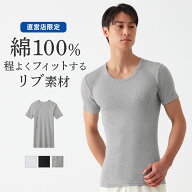 グンゼ the GUNZE クルーネックTシャツ(丸首) メンズ 年間 日本製 綿100% リブ 脇縫い無し 乾燥機対応 天…