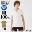 グンゼ インナーシャツ 半袖 Vネック メンズ 綿100 綿 コットン 消臭 柔らかい タグなし 日本製 シャツ V首 肌着 白 黒 ベージュ CK9015 CK8315 S M L LL 3L