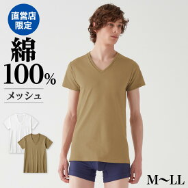 【SALE】グンゼ 半袖 Vネック インナーシャツ メンズ 春夏 メッシュ 綿100% 涼しい 汗 汗ムレ 防止 快適 下着 肌着 汗対策 男性 紳士 スーツ オフィス 仕事 the GUNZE ザグンゼ ホワイト 白 M L LL CK8715 CK9315N