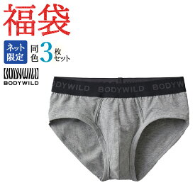 福袋 2026年 グンゼ ブリーフ メンズ オールシーズン 3枚セット 綿 アンダーウェア パンツ 前あき BODY WILD ボディワイルド GUNZE FK26M005 M L