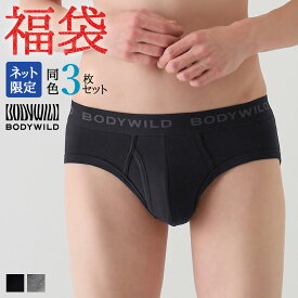 福袋 2026年 グンゼ ブリーフ メンズ オールシーズン 3枚セット 綿 アンダーウェア パンツ 前あき BODY WILD ボディワイルド GUNZE FK26M005 M L