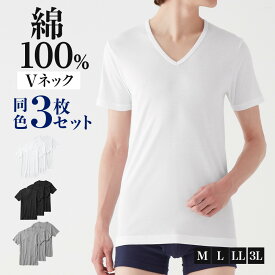 グンゼ ネット限定 VネックTシャツ 綿100％ 綿100 メンズ 男性 紳士 V首 肌着 下着 インナー 洗濯タグなし 脇縫いなし 抗菌防臭 年間 シンプル 定番 3枚セット 3枚組 3P まとめ買い グンゼベーシック GUNZE GM00153 M-3L