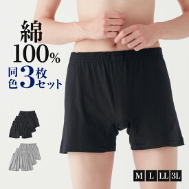 グンゼ トランクス メンズ 3枚組 セット 前開き 綿100 綿 ニット 無地 シンプル ベーシック 下着 パンツ 抗菌 タグなし まとめ買い コスパ ゆったり コットン 大きいサイズ GM00913 M L LL 3L