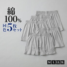 グンゼ ネット限定 ニットトランクス 前あき メンズ 男性 紳士 綿100% 綿100 パンツ 肌着 下着 パンツ 洗濯タグなし 抗菌防臭 年間 シンプル 定番 5枚セット 5枚組 5P まとめ買い グンゼベーシック GUNZE GM00915 M-LL