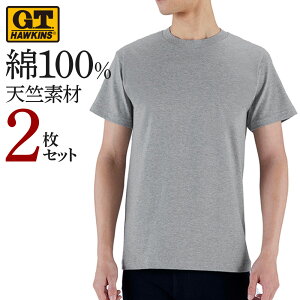 �ySALE�z�z�[�L���X �N���[�l�b�N �V�� T�V���c 2���Z�b�g �C���i�[�V���c�����Y �N�� ��100 ���� �ێ� �V���v�� ���n 2���g 2P M-LL G.T.HAWKINS GUNZE �O���[ HK10132