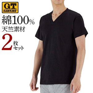 �z�[�L���X V�l�b�N �V�� T�V���c 2���Z�b�g �����Y �N�� ��100 ���� V�� �V���v�� ���n M-LL G.T.HAWKINS GUNZE �O���[ 2���g 2P HK10152 �C���i�[�V���c