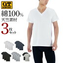 ホーキンス Vネック Tシャツ 3枚セット メンズ 紳士 半袖 シンプル 無地 カジュアル パックT 3P V首 インナーシャツ 天竺 肌着 綿100 コットン HK15153 M-LL グンゼ G.T.HAWKINS