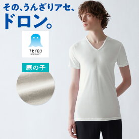 グンゼ アセドロン 半袖 Vネック メンズ 夏 夏用 鹿の子 吸汗 速乾 涼しい べたつかない 汗染み防止 脇汗 下着 肌着 V首 白 黒 ベージュ シャツ 仕事 ビジネス MCA715P M L LL 3L