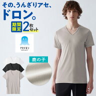 【期間限定！送料無料！2枚セット】グンゼ アセドロン 半袖 Vネック 鹿の子 メンズ 夏 夏用 吸汗速乾 速…