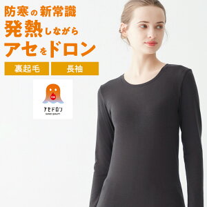 O[ t@C[AZh Ci[ fB[X H~ Ci[ ₦h~ z  ʋC  ̃jIC   wl   M Ci[ g  