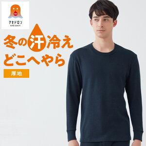 O[ t@C[AZh  ێ N Y ~ Ci[ N[lbN M ₦ h~ h z  C[ j  AEghA oR Lv ނ g GUNZE MH