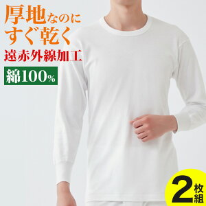 O[  ێ Y Ci[ 9  ԊOH 100 ۉ   n OX[u N[lbN j   Ci[ GUNZE RP2808A M L LL