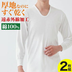 O[  U Y ~ Ci[ 9 100  ԊOH n  ۉ OX[u j   Ci[ GUNZE RP2810A M L LL