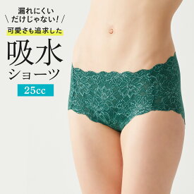 グンゼ あさイチで紹介されました! 吸水ショーツ レディース 年間 トゥシェ サニタリーショーツ 生理用ショーツ 吸収型 吸水 25ml 抗菌 防臭 羽根つき 漏れにくい 尿漏れ 失禁 フェムケア フェムテック 生理 日本製 Tuche TC6872 M-LL