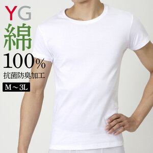 �O���[ YG �N���[�l�b�N �V���c �ێ� �����Y �I�[���V�[�Y�� ��100% �R�ۖh�L �A���S�t�H�����J�b�g ����ϋv�� �e�D���Ȃ� �� �z���C�g �� �u���b�N ���� �C���i�[ ���� YG ���C�W�[ GUNZE YVP013A 