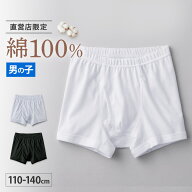 the GUNZE ザグンゼ ボクサーブリーフ 男の子 GUNZE グンゼ 110〜140cm ZX810EC GUNZE