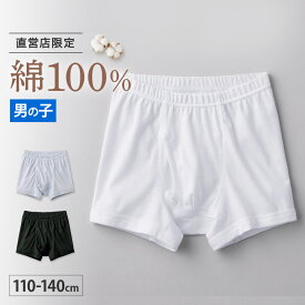 the GUNZE ザグンゼ ボクサーブリーフ 男の子 GUNZE グンゼ 110〜140cm ZX810EC GUNZE