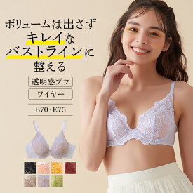 グンゼ ワイヤーブラジャー レディース トゥシェ 透明感 ブラ ワイヤーブラ 盛らないブラ 小胸 軽い レース ランジェリー 可愛い かわいい おしゃれ 婦人 Tuche JB3025H B75-E75