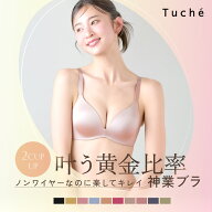 【タイムセール】≪ノンワイヤーでもしっかり盛れる。谷間メイクが叶うブラ≫ グンゼ ブラジャー ノンワ…