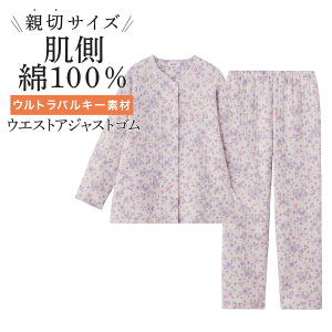 O[ wl fB[X pW} QԒ v`TCY Lg g  H~ GUNZE MP LP LLP TG4425