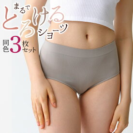 【まとめ買い割引】グンゼ ショーツ レディース 年間 トゥシェ 3枚セット パンツ ショーツ アンダーウェア 立体成型 3D 婦人 ヒップ きれい ストレッチ はきやすい まるでとろけるショーツ GUNZE Tuche TV2170P TV21SET2 M-L