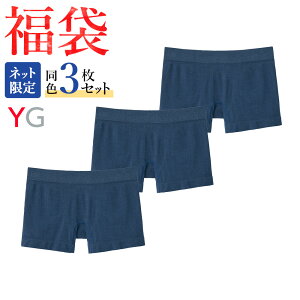  2024N O[ YG ̐^ {NT[pc ȍ O F 3Zbg Y N jppc n  GUNZE11 FK24M002 M-LL