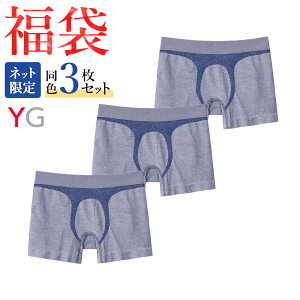  2024N O[ YG ̐^ {NT[pc ȍ O F 3Zbg Y N jppc n  GUNZE11 FK24M003 YVS081 M-LL