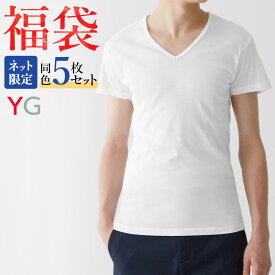 福袋 2024年 グンゼ YG 綿100% 半袖 V首 同色 5枚セット メンズ 年間 男性用 Vネック Tシャツ インナー 無地 白 肌着 下着 GUNZE11 FK24M006 M-3L