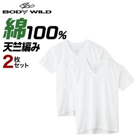 グンゼ Vネック Tシャツ 綿100 V首 2枚組 メンズ 年間 ボディワイルド 2P 半袖 インナー 定番 ベーシック メンズインナー 無地 2枚セット 下着 肌着 BODY WILD GUNZE BW5015A M-LL