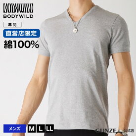 【期間限定セール29日迄】グンゼ Vネック Tシャツ メンズ 年間 紳士 半袖 インナー 肌着 下着 ボディワイルド メンズインナー 綿100% 直営店限定 リブ シャツ シンプル 人気 GUNZE BODY WILD BWB315U M-LL