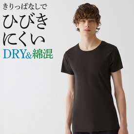 グンゼ クルーネックシャツ 丸首 インナー 薄い 無地 メンズ 年間 綿混 肌着 下着 きりっぱなし ひびかない 速乾 軽い タグレス 洗濯タグなし おしゃれ 夏インナー ドライ M-LL MA9213