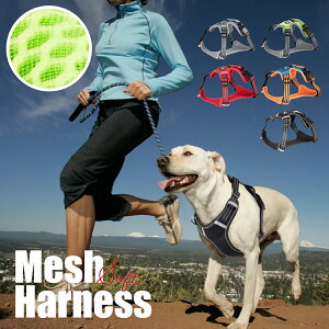  n[lX ^ Ռz ȒP pn[lX  p[n[lX U ^ ^ h~ 炩 ɂȂ  nht bV \tg   