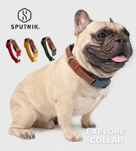   y{vgpցz  ^ ^ ^  v {v AU[ U ɂȂ  U o  ySPUTNIKK㗝Xiz