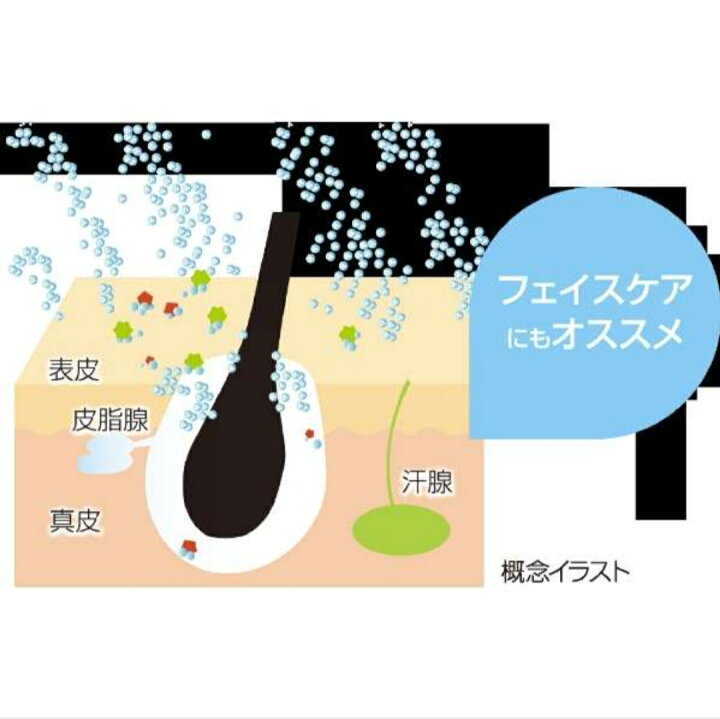 楽天市場 送料無料 サイエンス Mirableplus ミラブルプラス ミラブル シャワーヘッド 交換用トルネードスティック3個付き 浴室用品 簡単装着で美顔 美顔 ウルトラファインミスト トルネードスティック 塩素除去機能付き Mirable Gurand Blue 夢工房